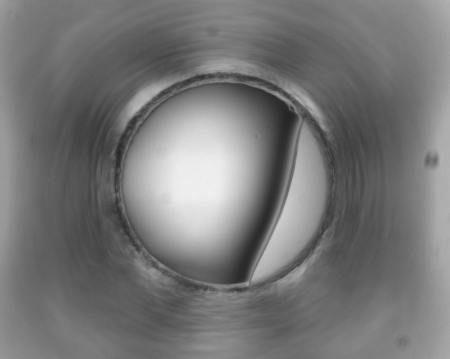 X0000091850877200709050933
