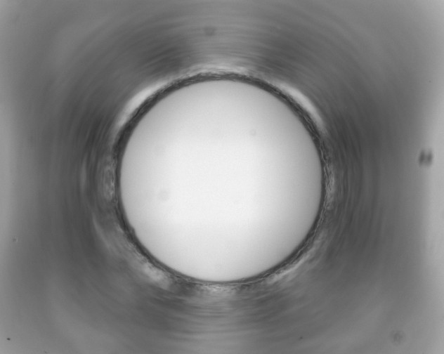 X0000091850878200709050933
