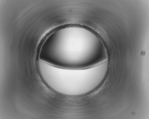 X0000091850880200709050933