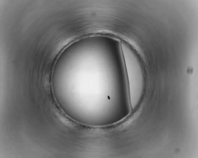 X0000091850881200709050933