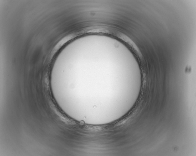 X0000091850882200709050933