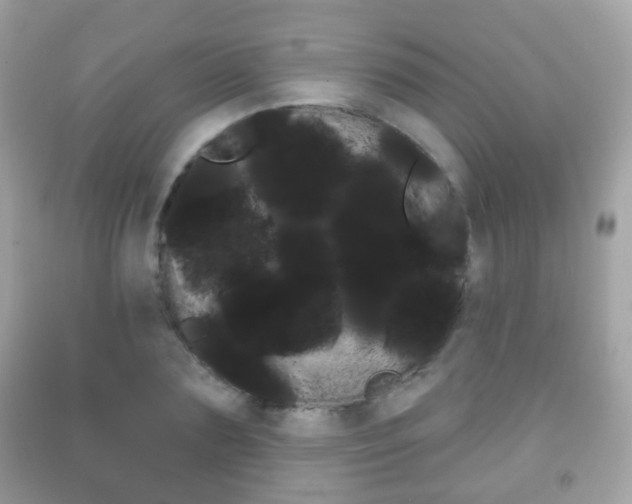 X0000091850883200709050933