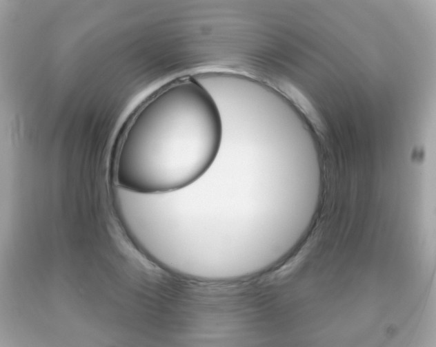 X0000091850884200709050933