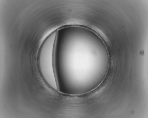 X0000091850885200709050933