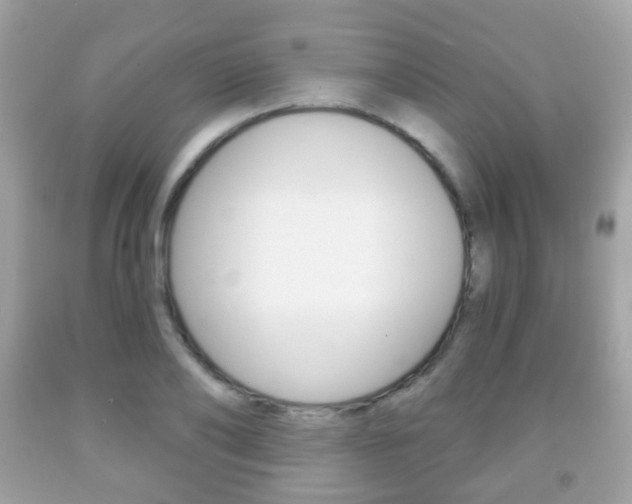 X0000091850886200709050933