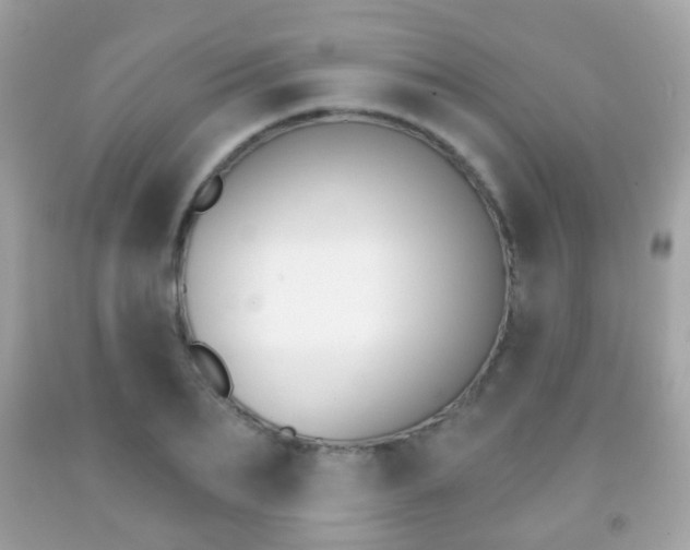 X0000091850887200709050933