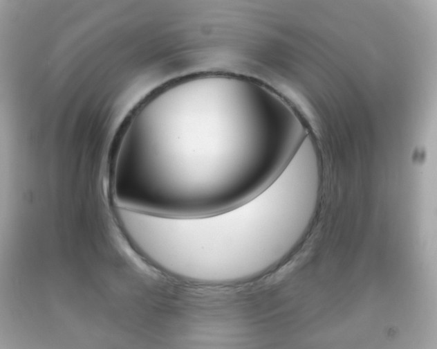 X0000091850888200709050933