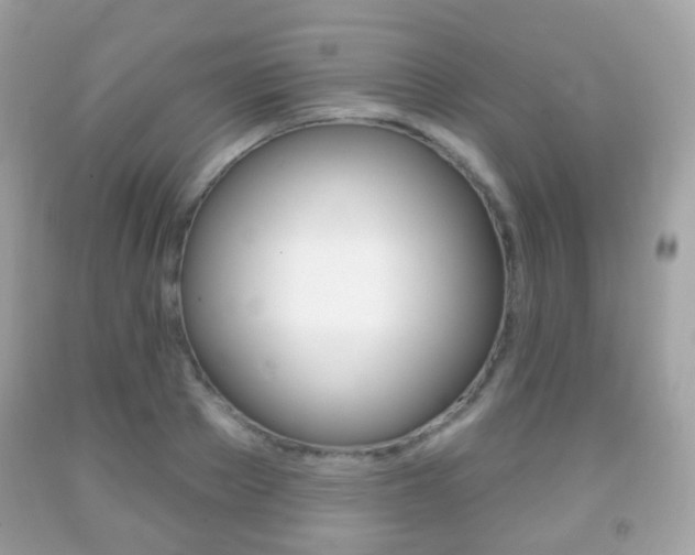 X0000091850889200709050933