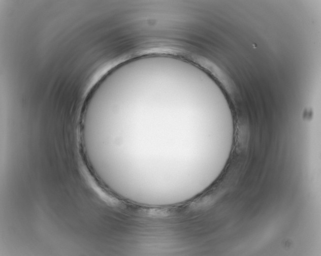X0000091850890200709050933