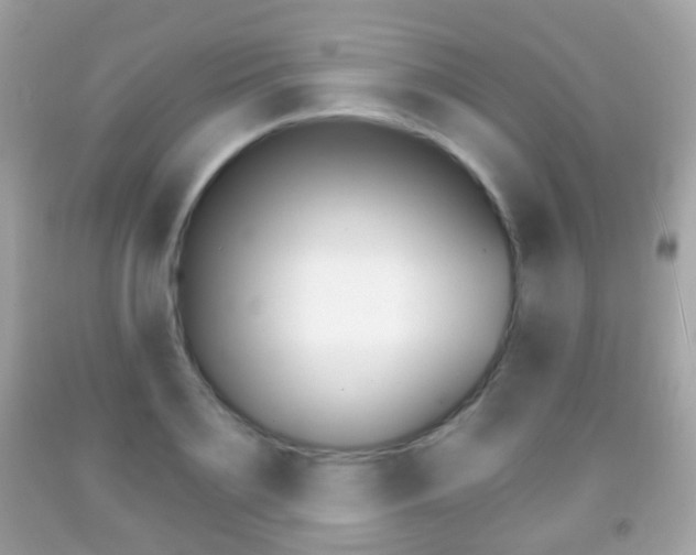X0000091850891200709050933