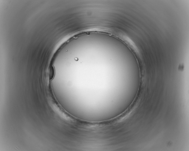 X0000091850892200709050933