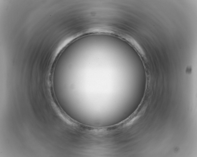 X0000091850893200709050933