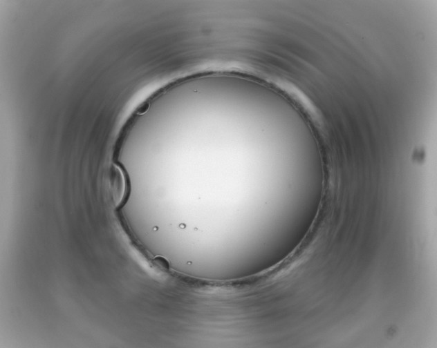 X0000091850894200709050933