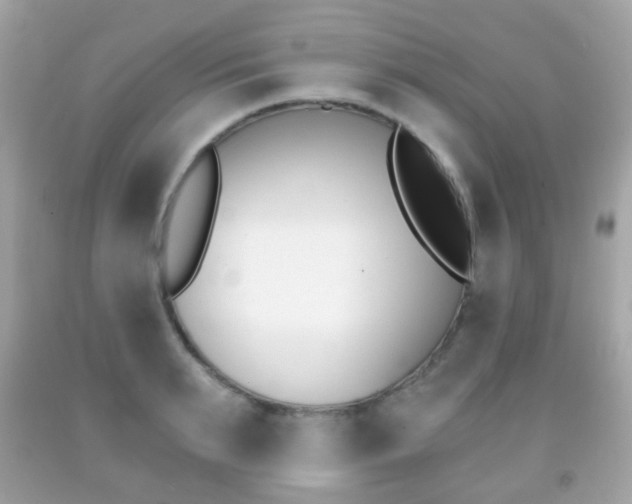 X0000091850895200709050933