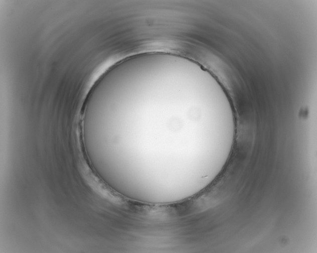 X0000091850899200709050933