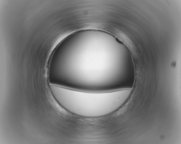 X0000091850900200709050933