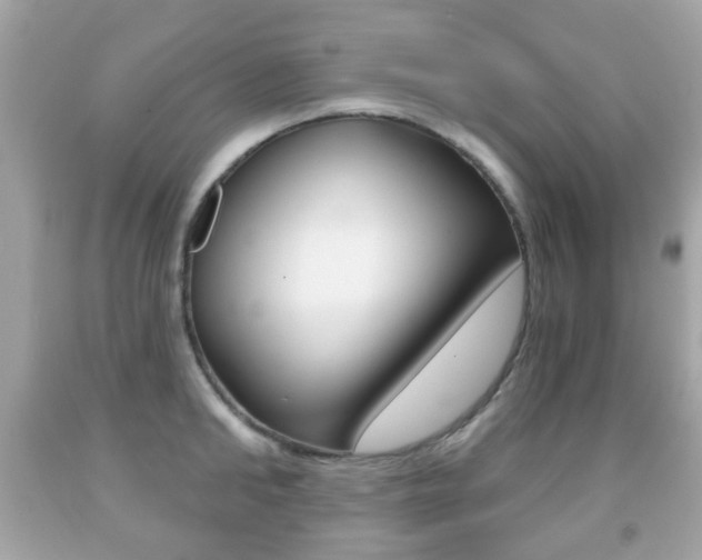 X0000091850902200709050933
