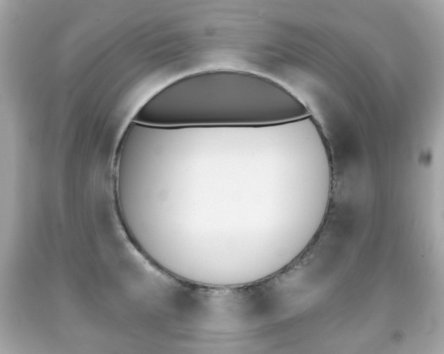 X0000091850903200709050933