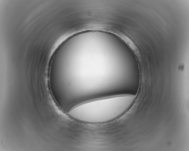 X0000091850904200709050933