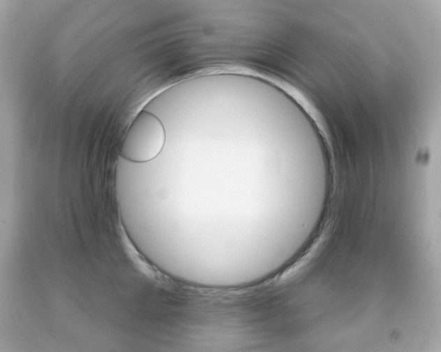 X0000091850905200709050933