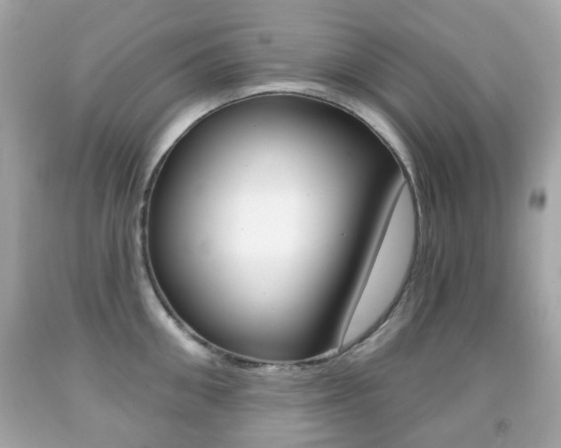 X0000091850906200709050933