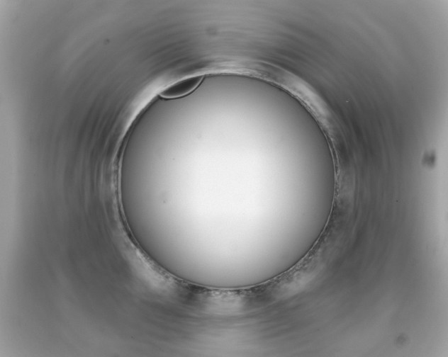 X0000091850907200709050933