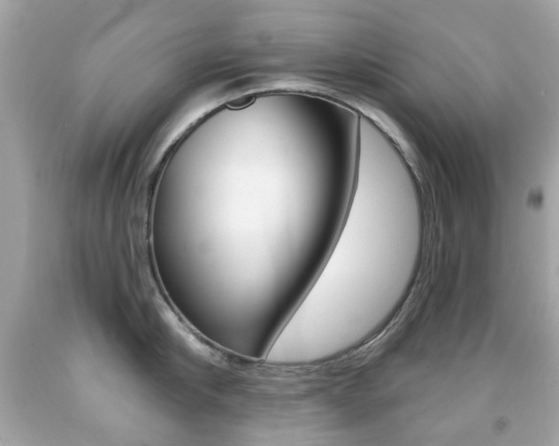X0000091850910200709050933