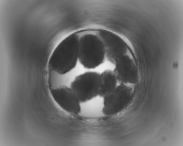 X0000091850911200709050933
