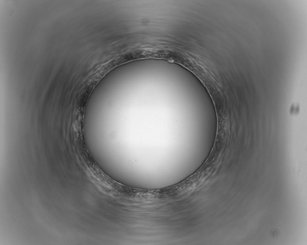 X0000091850914200709050932