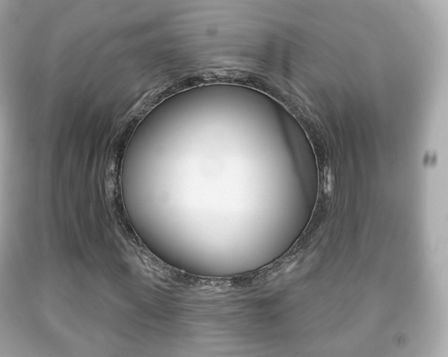X0000091850915200709050932