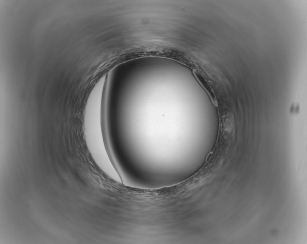 X0000091850916200709050932
