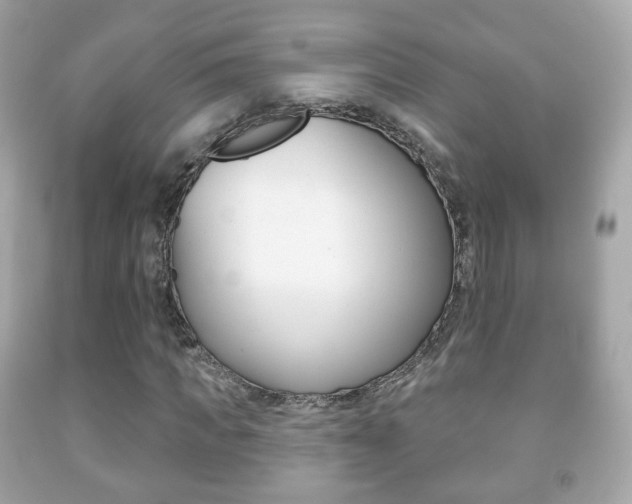 X0000091850917200709050932