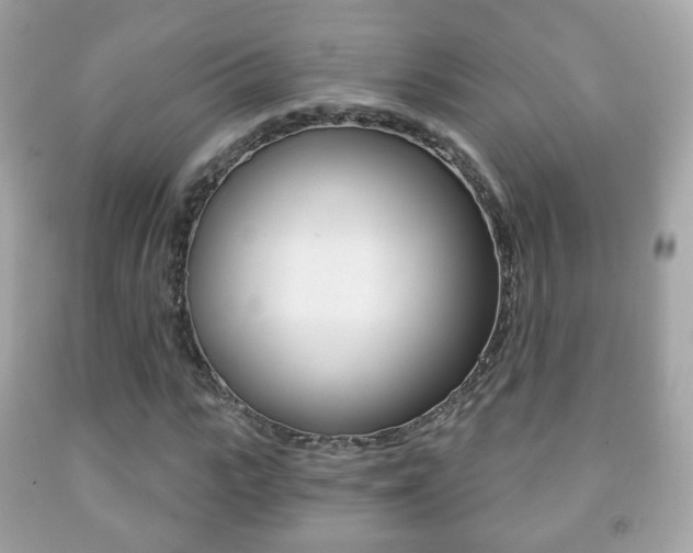 X0000091850919200709050932