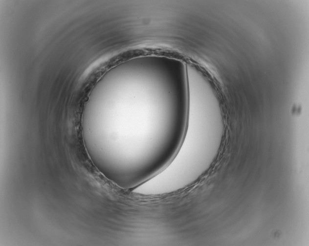 X0000091850920200709050932