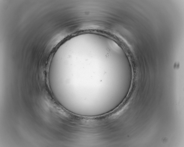 X0000091850921200709050932
