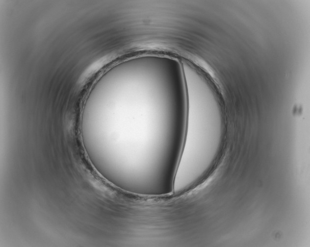 X0000091850922200709050932