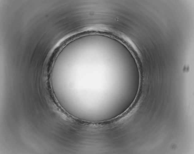X0000091850923200709050932