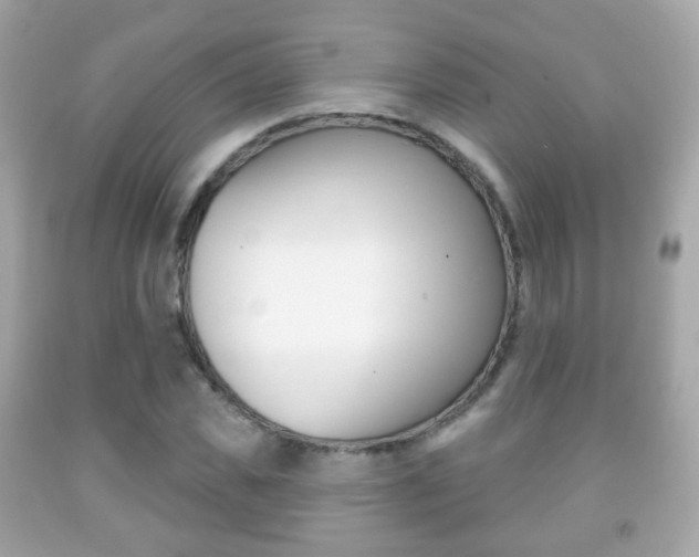 X0000091850925200709050932