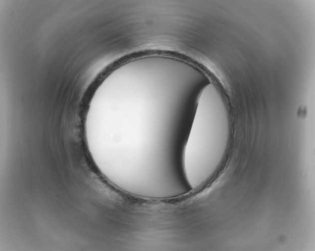 X0000091850926200709050932
