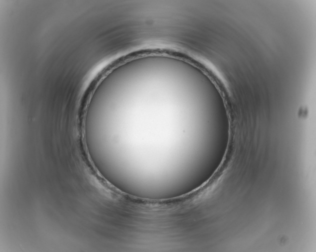 X0000091850927200709050932