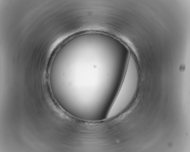 X0000091850928200709050932