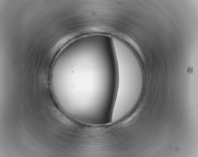 X0000091850930200709050932