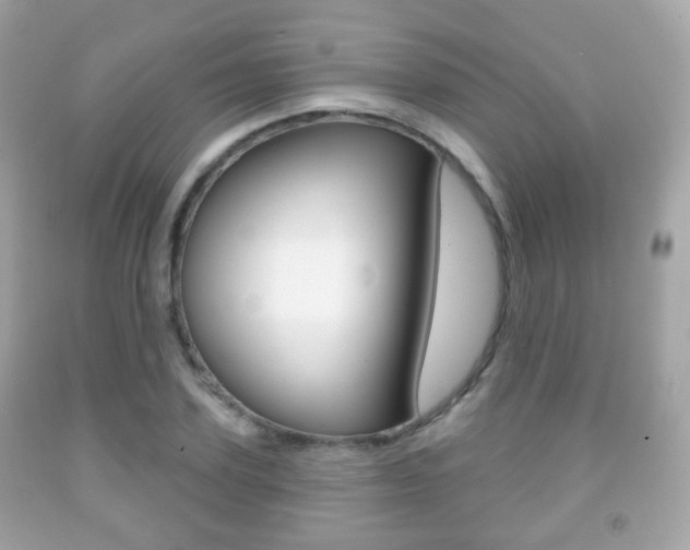X0000091850931200709050932