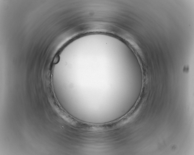 X0000091850933200709050932