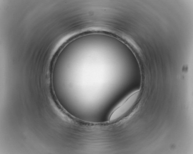 X0000091850934200709050932