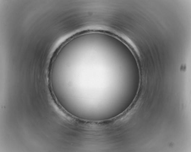 X0000091850935200709050932