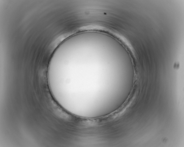X0000091850937200709050932