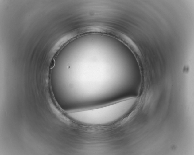 X0000091850938200709050932