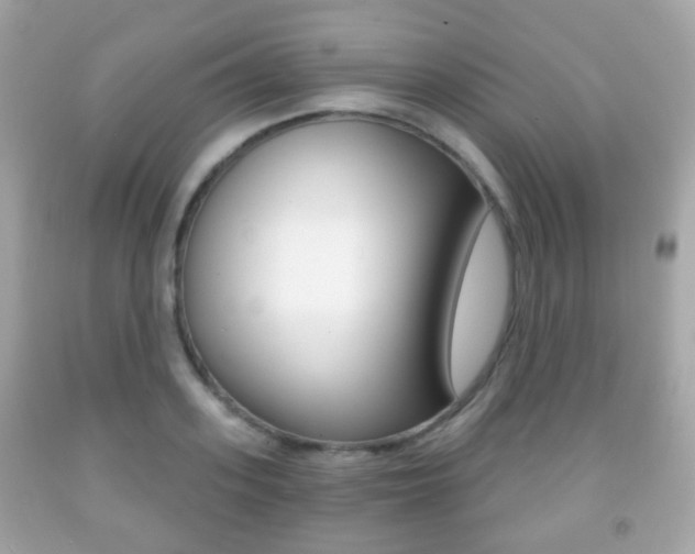 X0000091850939200709050932