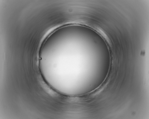 X0000091850940200709050933